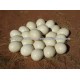 100% Quality Fertile Ostrich eggs